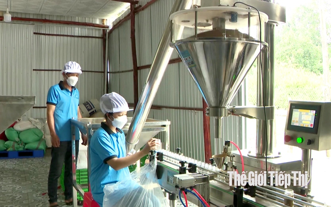 Sản xuất muối tiêu ở HTX cây ăn quả Tân Mỹ (huyện Bắc Tân Uyên, Bình Dương). Ảnh: Trần Khánh
