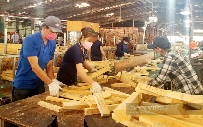 Công nhân chế biến gỗ tại một doanh nghiệp ở huyện Dầu Tiếng, Bình Dương. Ảnh: Trần Khánh