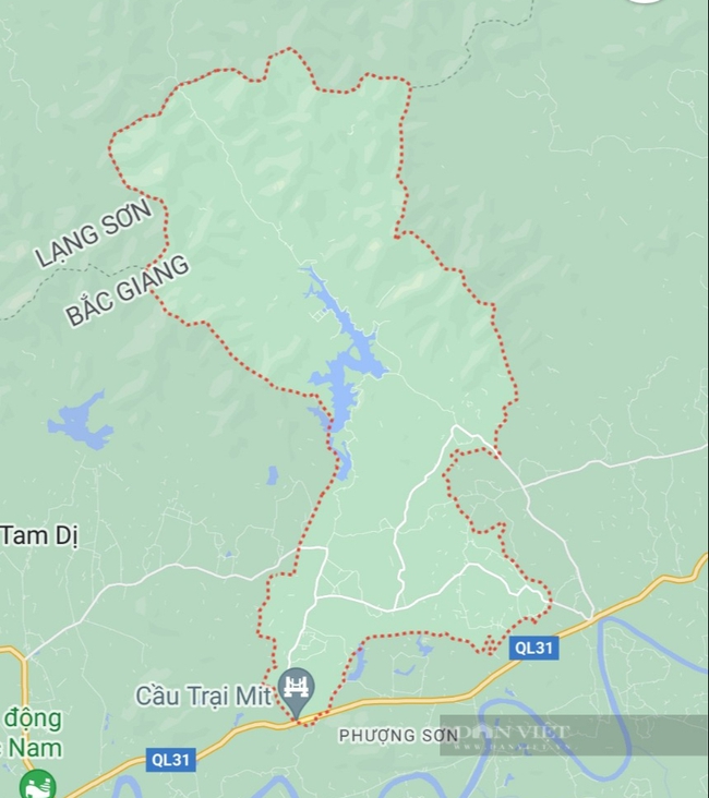 Dự án nghỉ dưỡng, sân golf, công viên nghĩa trang... &quot;nuốt&quot; hàng nghìn ha rừng sản xuất tại Bắc Giang - Ảnh 4.