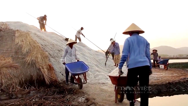 Diêm dân ở xã An Ngãi thu hoạch muối. Ảnh: Trần Khánh