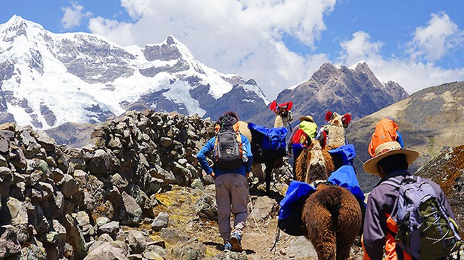 Peru: Tour thám hiểm dãy núi Andes với điểm nhấn lạc đà Alcapa quý giá - Ảnh 7.