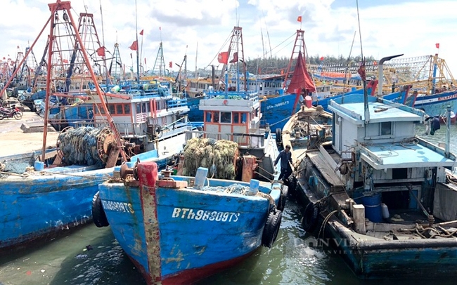 Tàu thuyền nằm bờ ở cảng Phan Thiết, Bình Thuận. Ảnh: Trần Khánh