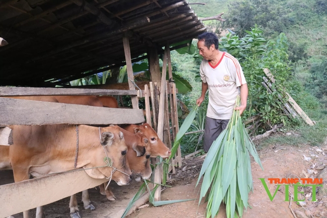 Mường La vượt “bão Covid-19” hoàn thành nhiều chỉ tiêu quan trọng - Ảnh 3.