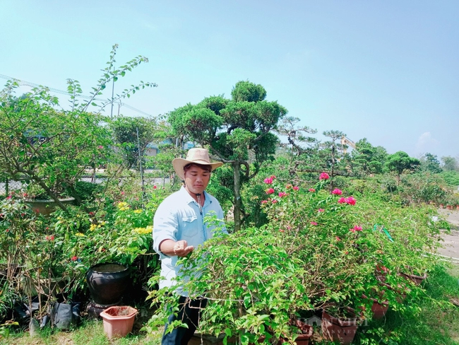 Thầy giáo xứ Huế “bỏ túi” 600 triệu đồng mỗi năm nhờ nghề tay trái làm cây cảnh nghệ thuật  - Ảnh 1.