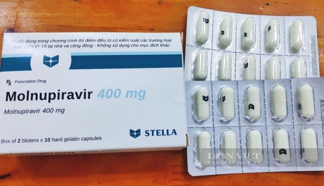 Nghệ An: Thuốc Molnupiravir điều trị Covid-19 được bán lậu ra thị trường - Ảnh 1.