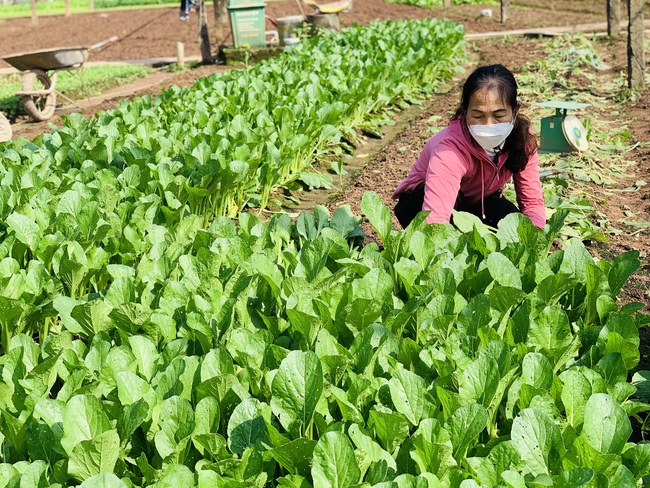 Động lực thoát nghèo của hàng triệu nông dân - Ảnh 1.