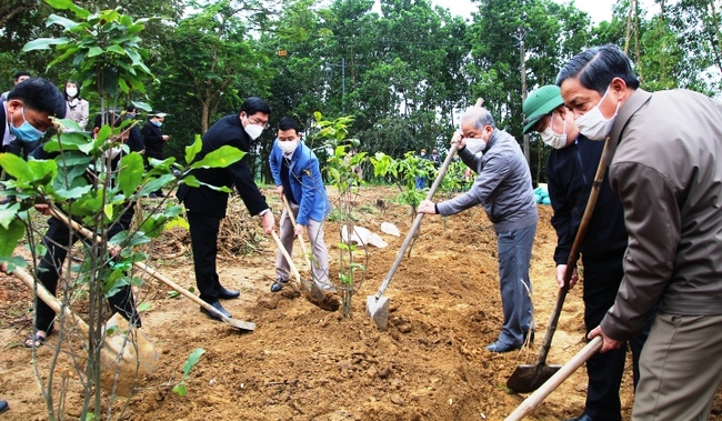 Phát triển mai vàng Huế thành thương hiệu nổi tiếng như hoa anh đào Nhật Bản  - Ảnh 1.