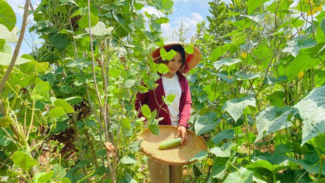 tannien/Những người trẻ “bỏ phố về quê” làm nông nghiệp sạch - Ảnh 1.