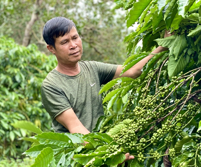 tannien/Xuân no ấm nhờ đồng vốn nhân văn - Ảnh 1.