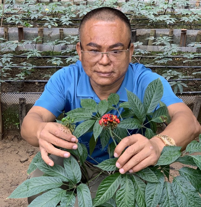 Bài 3: Cao Sâm Ngọc Linh - nỗi trăn trở của sáng tạo và lương thiện ở Dị nhân Long Võ - Ảnh 4.