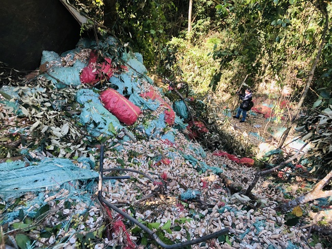 Vụ xe tải lao xuống vực khiến 9 người thương vong ở Gia Lai: Các nạn nhân đều là lao động bốc vác thuê - Ảnh 2.