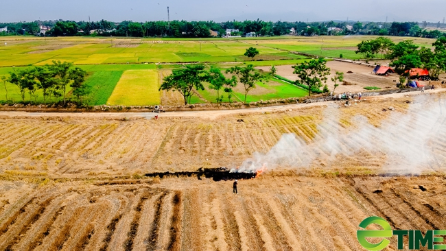 Đà Nẵng thí điểm khai thác dịch vụ du lịch kết hợp phát triển nông lâm ngư nghiệp - Ảnh 1.