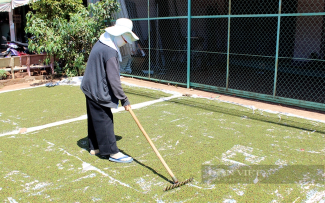 Hồ tiêu tồn kho từ các năm trước vẫn còn. Trong ảnh: Người dân phơi tiêu ở Đồng Nai. Ảnh: Nguyên Vỹ