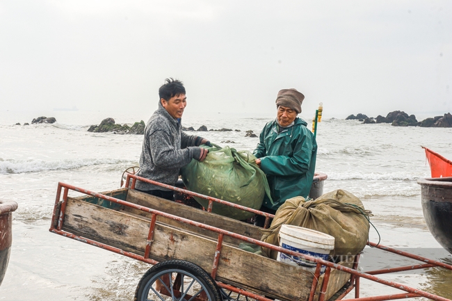 Cận cảnh chuyến ra khơi đầy ắp tôm cá của ngư dân Cửa Lò - Ảnh 4.