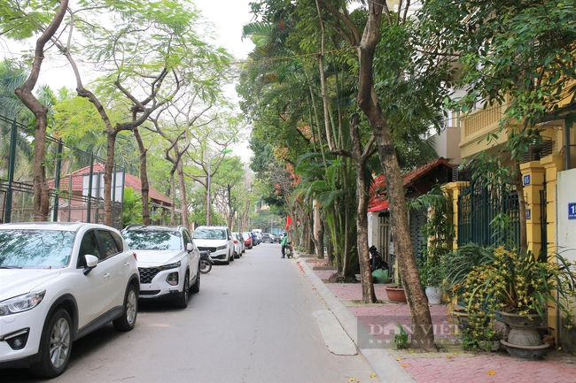 Cận cảnh hai con phố nên thơ mang tên Lưu Quang Vũ và Xuân Quỳnh ở Hà Nội - Ảnh 7.