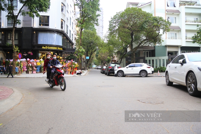 Cận cảnh hai con phố nên thơ mang tên Lưu Quang Vũ và Xuân Quỳnh ở Hà Nội - Ảnh 10.