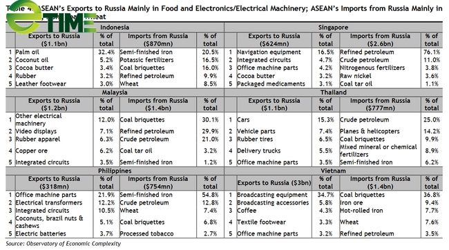 Chiến sự Nga – Ukraine: Những thiệt hại bất ngờ, ngoài dự kiến với kinh tế ASEAN - Ảnh 1.