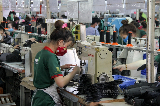 Công nhân mắc Covid-19 tăng cao, doanh nghiệp Đà Nẵng kêu khó - Ảnh 1.