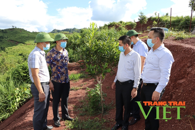 Điện Biên: Để phát triển nông nghiệp - Cần cú hích mạnh mẽ hơn về chính sách   - Ảnh 1.
