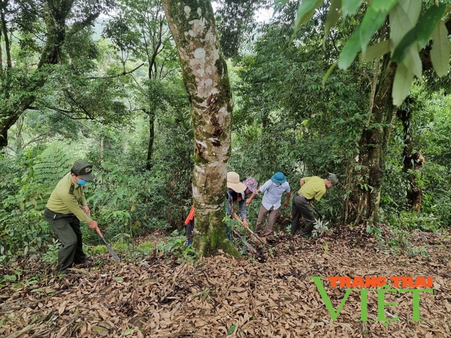 Điện Biên: Tăng cường kiểm tra, giám sát việc sử dụng tiền dịch vụ môi trường rừng   - Ảnh 1.