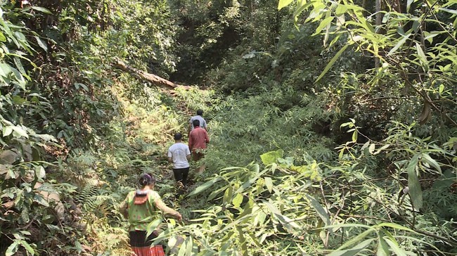 Điện Biên: Tăng cường kiểm tra, giám sát việc sử dụng tiền dịch vụ môi trường rừng   - Ảnh 4.