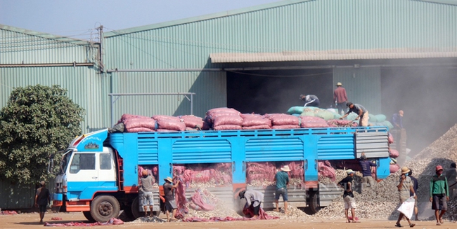 Hoạt động xuất nhập khẩu sắn và các sản phẩm từ sắn tại cửa khẩu Xa Mát, Tây Ninh. Ảnh: Nguyên Vỹ