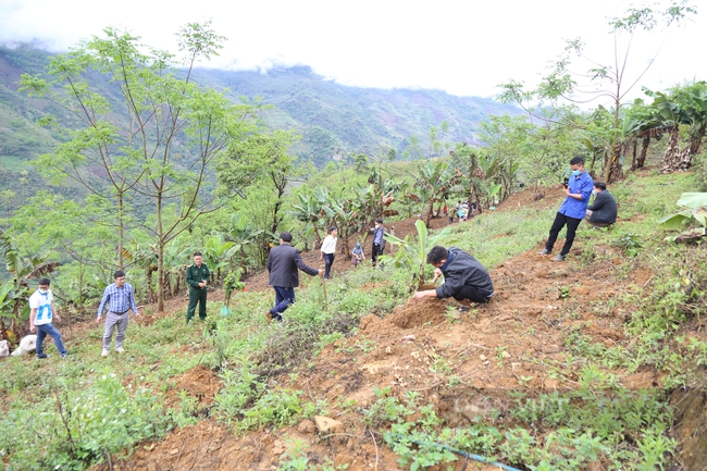 Cùng người dân vùng biên cương tỉnh Hà Giang trồng hơn 10.000 cây ổi, xoài - Ảnh 5.