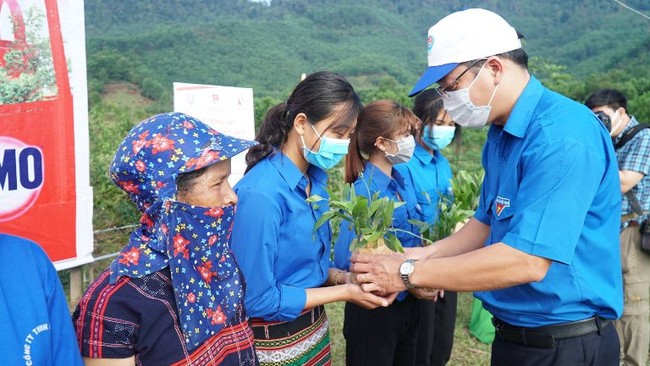 Thừa Thiên Huế: Trao tặng 70.000 cây xanh cho huyện A Lưới  - Ảnh 1.