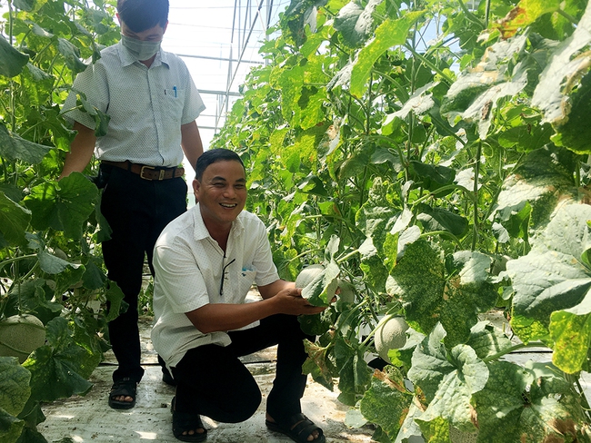 Chuyển đổi số nông nghiệp, ông chi hội trưởng nông dân ở An Giang dùng máy bay không người lái trồng lúa - Ảnh 3.