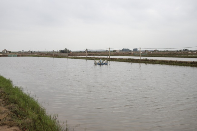 Nam Định muốn xóa sổ khu thủy sản 431ha Cồn Xanh: KCN bên cạnh bỏ hoang, sao nỡ lấy đất của dân (Bài 3) - Ảnh 4.