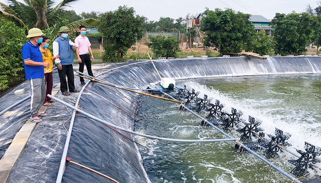 Vay 50 triệu nuôi 2 ao cá to, trồng cả rừng keo, nhà nông Quảng Bình say mê làm giàu, có người thu 2 tỷ/năm - Ảnh 4.