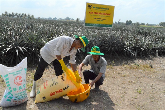 Đảm bảo nguồn cung phân bón  - Ảnh 1.