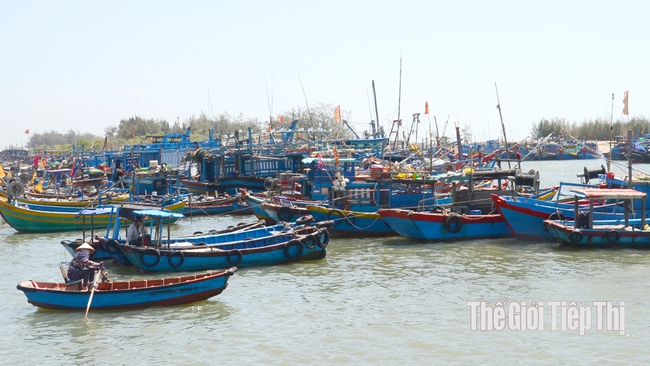 Tàu cá neo đậu tại cảng biển ở huyện Xuyên Mộc, Bà Rịa – Vũng Tàu. Ảnh: Đông Hiếu