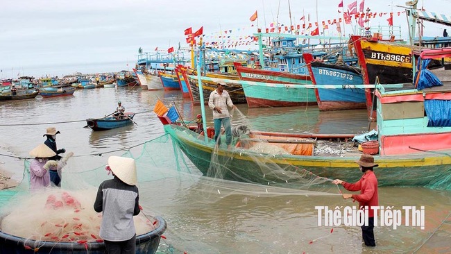 Tàu thuyền đánh bắt cá nằm bờ ở TP.Phan Thiết, Bình Thuận. Ảnh: Trần Khánh