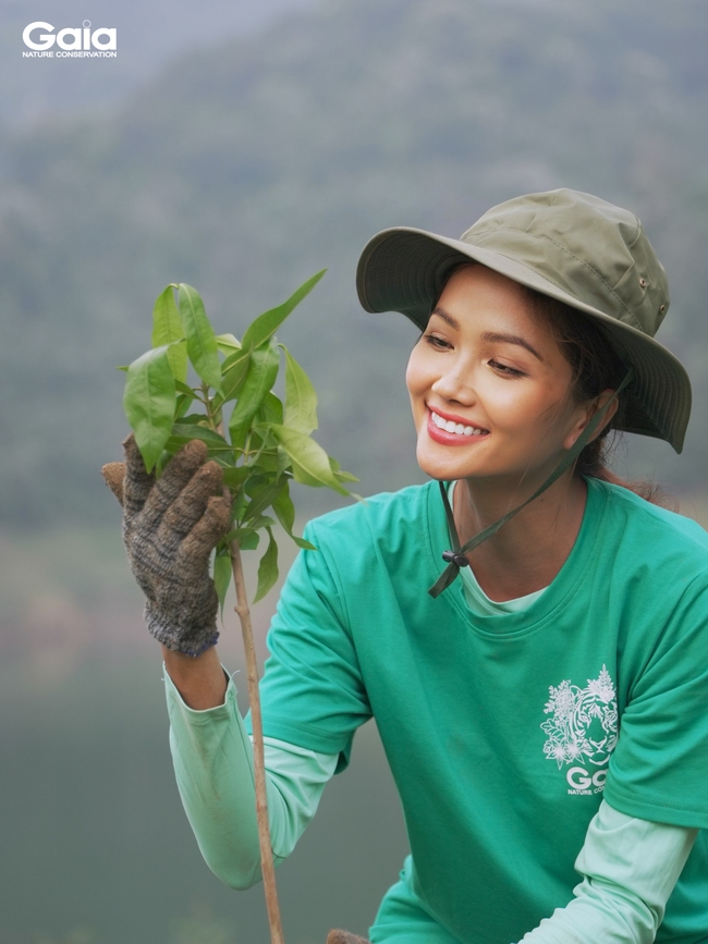 ẢNH: Hoa hậu H'Hen Niê &quot;xắn tay&quot; cùng trồng gần 17.000 cây gỗ lớn rừng đặc dụng đầu nguồn - Ảnh 6.
