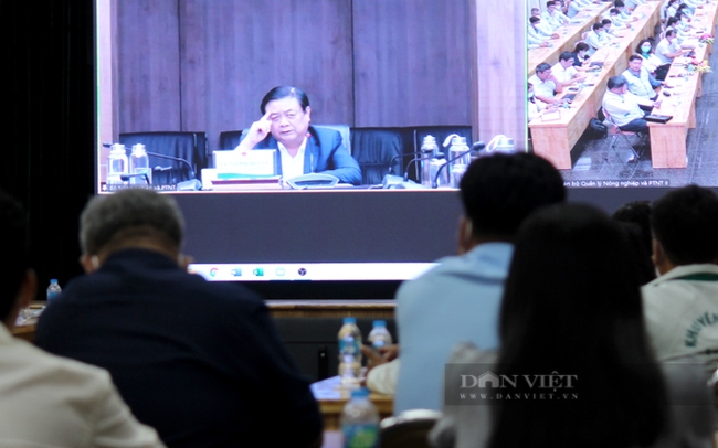 Bộ trưởng Bộ NNPTNT Lê Minh Hoan chia sẻ với cán bộ khuyến nông cộng đồng qua màn hình trực tuyến. Ảnh: Nguyên Vỹ