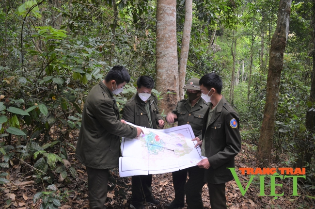 Điện Biên: Hiệu quả công tác giao khoán bảo vệ rừng   - Ảnh 1.