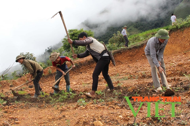 Tủa Chùa: Huy động sức dân trong phát triển hạ tầng ở Sính Phình   - Ảnh 1.