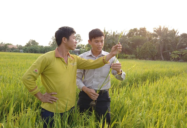 Lợi nhuận quý 1 đạt 184 tỷ đồng, Lộc Trời “bật mí” về bảo hiểm nông nghiệp đầu tiên tại Việt Nam - Ảnh 3.