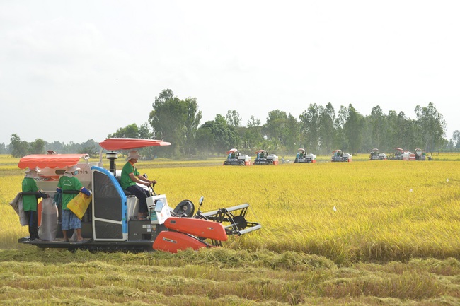 Lợi nhuận quý 1 đạt 184 tỷ đồng, Lộc Trời “bật mí” về bảo hiểm nông nghiệp đầu tiên tại Việt Nam - Ảnh 1.