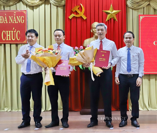 Phó trưởng Ban Tổ chức Thành ủy Đà Nẵng xin nghỉ hưu trước tuổi - Ảnh 1.