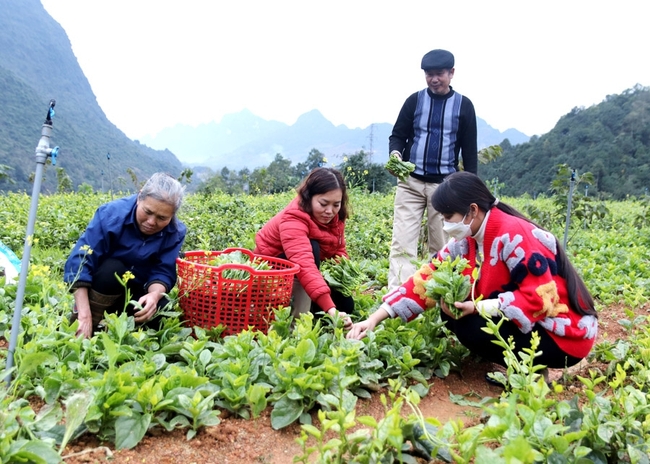 Hà Giang xây dựng nông thôn mới: Không có điểm dừng, đi vào chiều sâu - Ảnh 1.