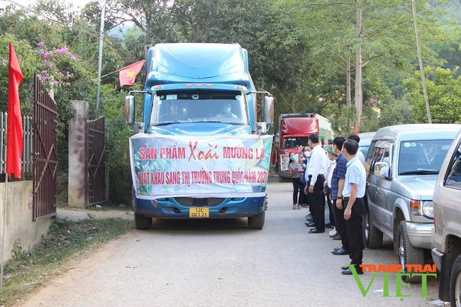 Mường La phấn đấu xuất khẩu chính ngạch gần 200 tấn nông sản - Ảnh 1.