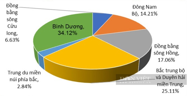 Cơ cấu lao động cao su tiểu điền Bình Dương phân theo vùng di cư đến. Ảnh: Viện Khoa học xã hội vùng Nam Bộ