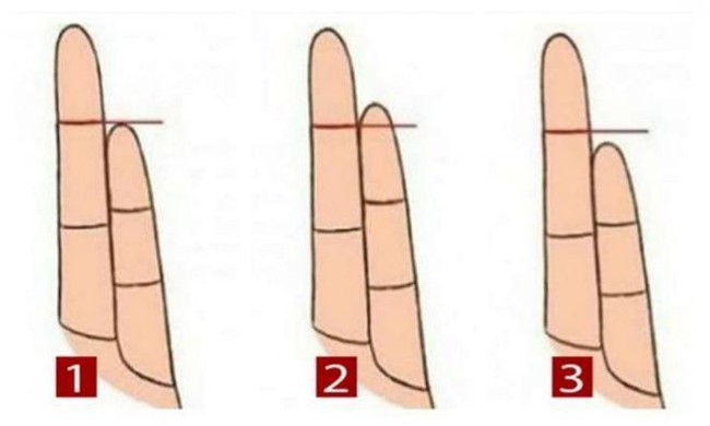 The length of your little finger determines your life - Photo 1.
