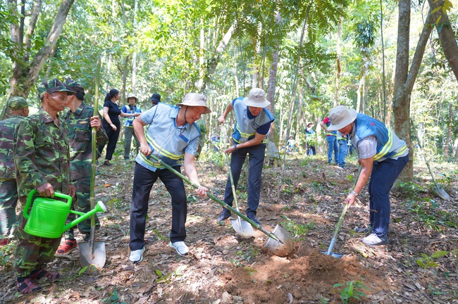 Coteccons khởi động chiến dịch trồng cây &quot;Green Up&quot; trong dự án bảo tồn rừng tại Phong Nha - Kẻ Bàng - Ảnh 3.