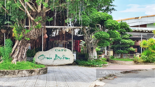 Vụ quán cà phê Cánh Buồm xây trên đất công viên ở Kiên Giang: Ngành chức năng nêu 2 hướng xử lý - Ảnh 1.