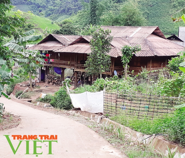 Điện Biên: Xây dựng Nông thôn mới ở Mường Nhé   - Ảnh 4.
