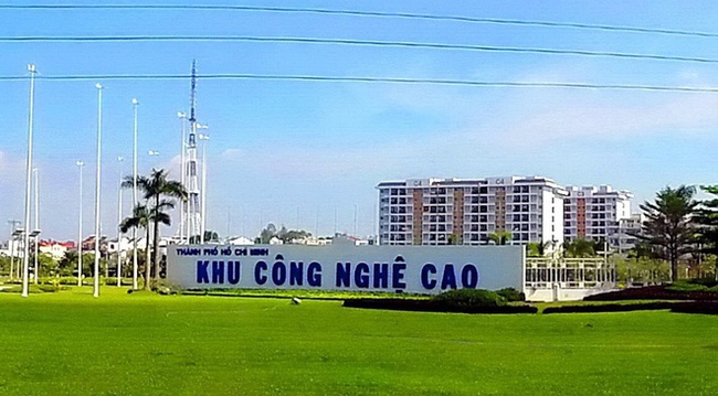 3 năm, TP.HCM chỉ tuyển dụng được 5 người tài - Ảnh 1.