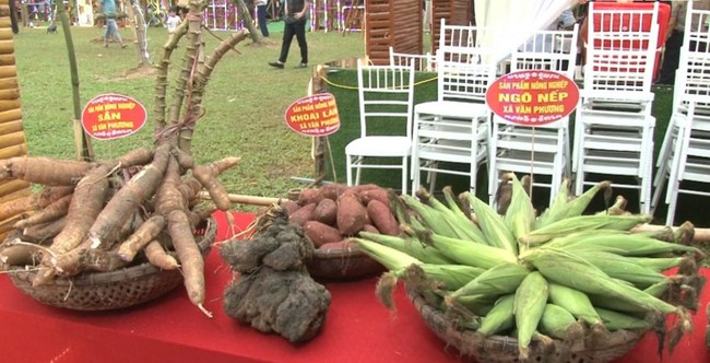 Ninh Binh tourism: Opening of the great Cuc Phuong week - Photo 5.